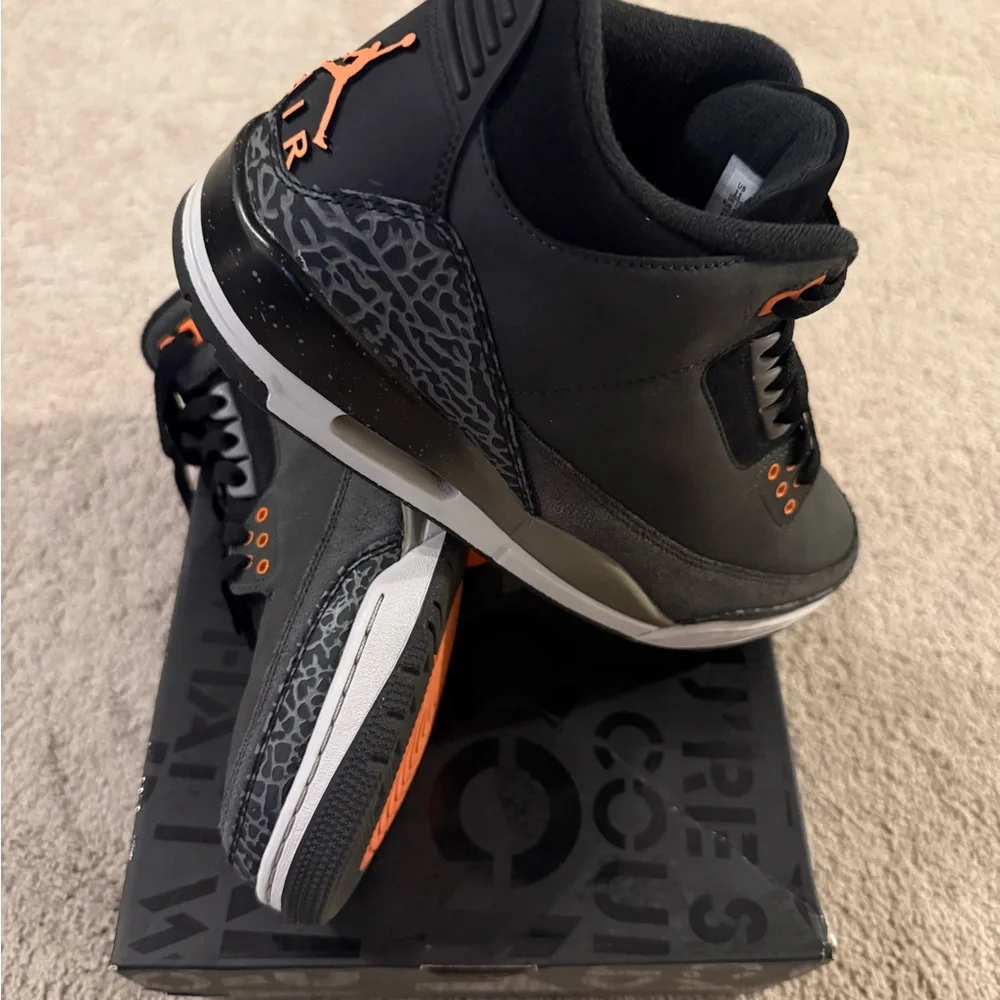 Jordan 3 Retro Fear (2023) - Picture 6 of 9